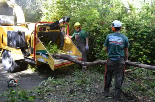 tree services Oroville